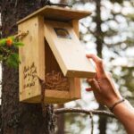 Birdhouse Workshop Forest Walk & Wilderness Lunch in Kuusamo - Practical Details & Considerations