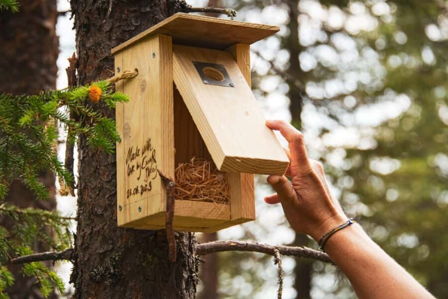 Birdhouse Workshop Forest Walk & Wilderness Lunch in Kuusamo - Practical Details & Considerations