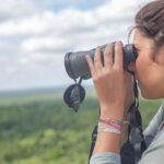 Birdwatching at The Mayan Cities with certified guide - Starting Point: Zona Arqueologica de Dzibanche - Kinichna