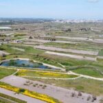 Birdwatching Boccadoro: the wildlife of the wetland - Who Will Appreciate This Tour?