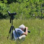 Birdwatching in Albania - Explore Shkodra Lake & Velipoja - Exploring the Details of the Shkodra Lake & Velipoja Birding Tour