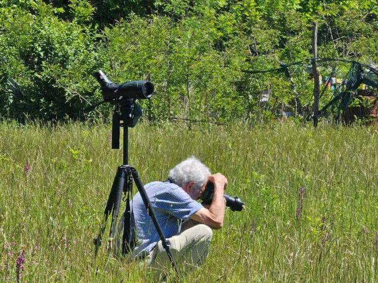 Birdwatching in Albania - Explore Shkodra Lake & Velipoja - Exploring the Details of the Shkodra Lake & Velipoja Birding Tour