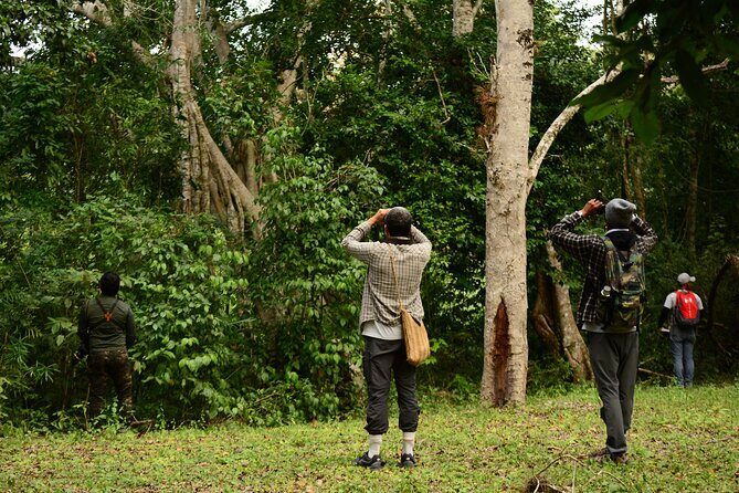 Birdwatching in Coba from Tulum - Shared Group Tour - What Could Be Better?