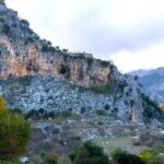 Birdwatching in Ronda and Grazalema - The Experience and the Guide