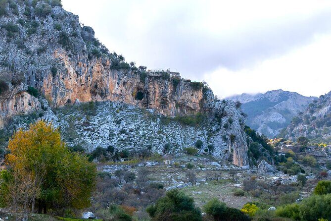 Birdwatching in Ronda and Grazalema - The Experience and the Guide
