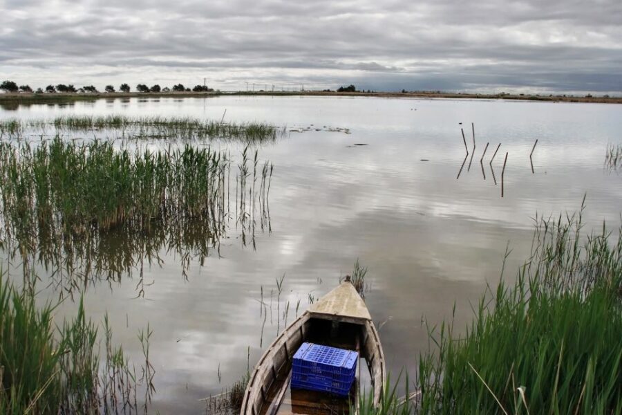 Birdwatching in the Ebro Delta - Who Is This Tour Best Suited For?