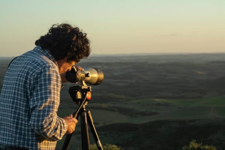 Birdwatching tour in Mértola and Castro Verde region - What’s Included and What to Expect