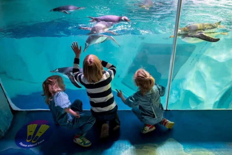 Birmingham: National Sea Life Centre Entrance Ticket - The Highlights in Detail