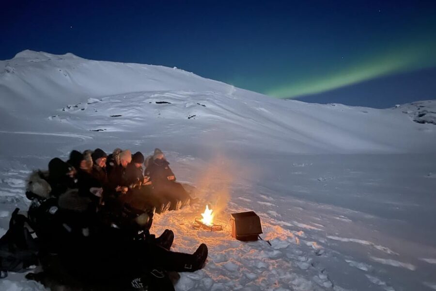 Björkliden/Abisko: Night Sky Snowmobile Tour - The Details That Matter