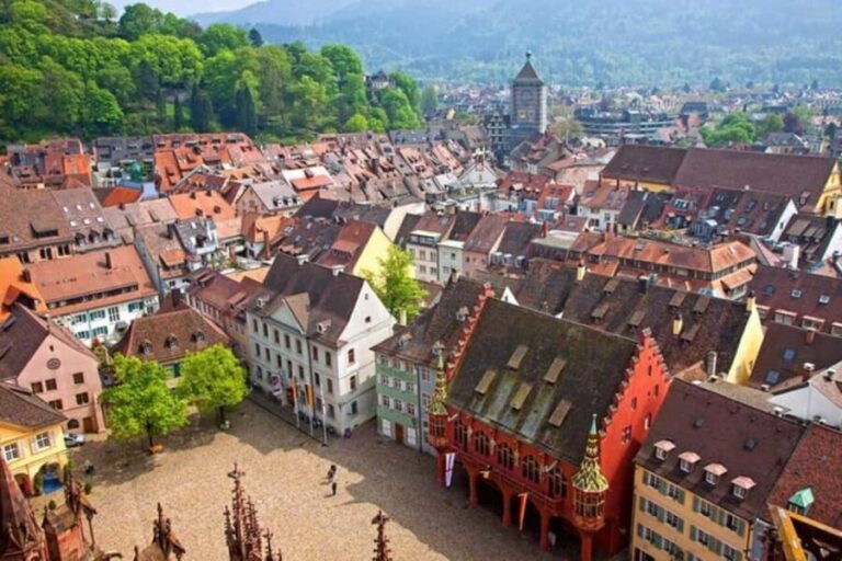 Black Forest Day Trip from Strasbourg: Baden Baden & Wine - Who Should Consider This Tour?