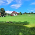 Black Forest: Ravenna Gorge Hike, Self-Guided - The Itinerary in Detail