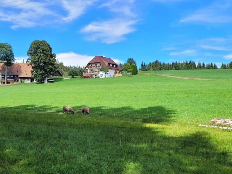 Black Forest: Ravenna Gorge Hike, Self-Guided - The Itinerary in Detail