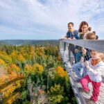 Black Forest: Treetop Walk & Lookout Tower Experience - Who Will Enjoy This?