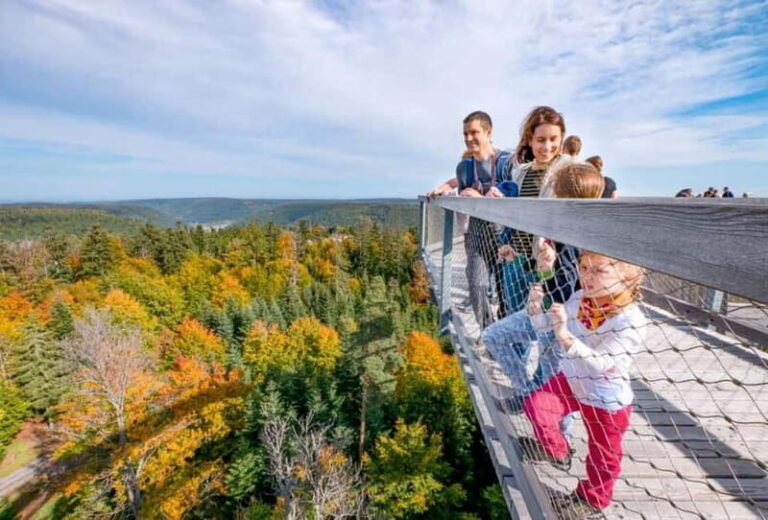 Black Forest: Treetop Walk & Lookout Tower Experience - Who Will Enjoy This?