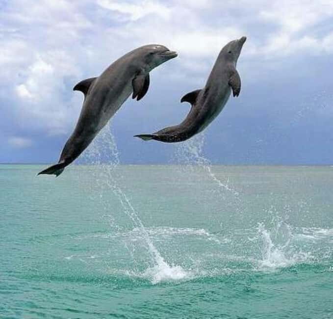 Black Sea Private Tour from Bucharest, day tour to Constanta - Who Is This Tour Best For?