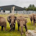 Blackpool: Zoo Admission Ticket - The Verdict: Is It Worth It?