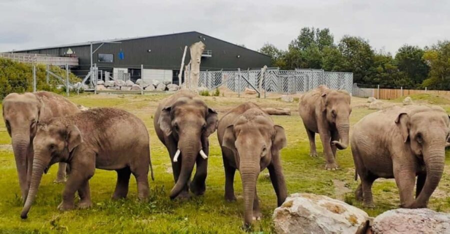 Blackpool: Zoo Admission Ticket - The Verdict: Is It Worth It?