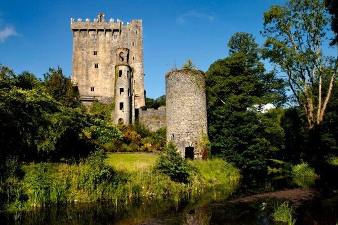 Blarney Castle and The Rock of Cashel with Private Chauffeur Tour - What to Expect on the Day