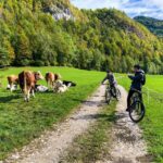 Bled: EBike Tour Lake Bled & Triglav National Park Private - The Details You Need to Know