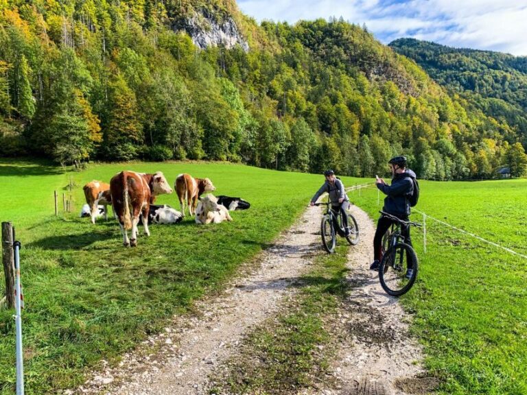 Bled: EBike Tour Lake Bled & Triglav National Park Private - The Details You Need to Know