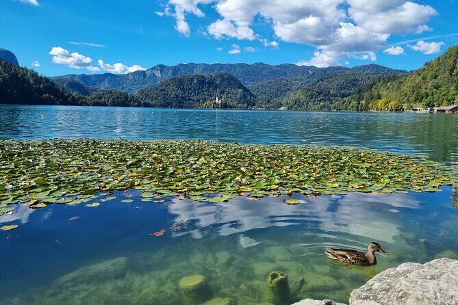 Bled Lake and Ljubljana extra small group tour from Zagreb - Is It Worth the Price?