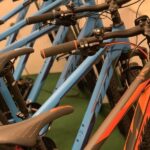 Bled: Mountain Bike Rental - What Makes This Bike Rental Stand Out?