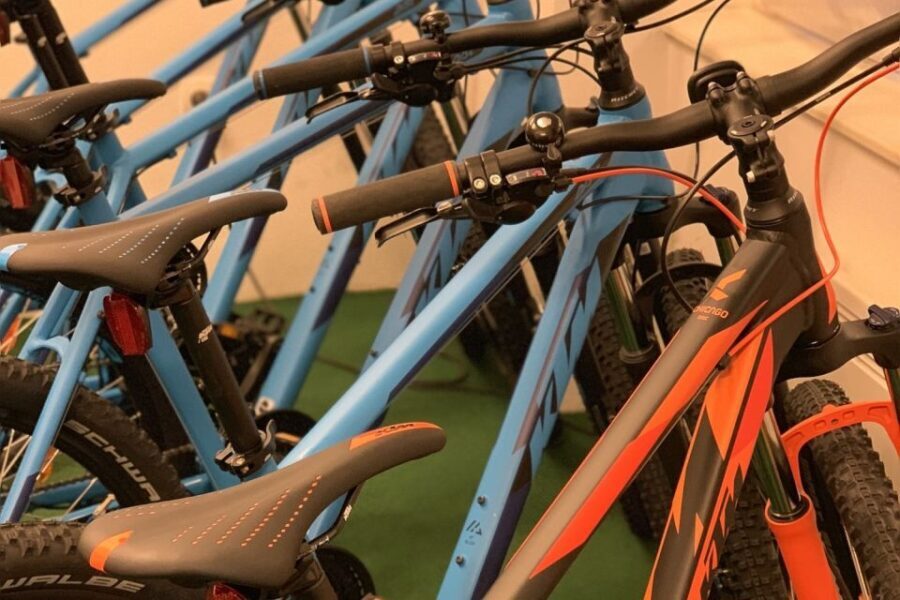 Bled: Mountain Bike Rental - What Makes This Bike Rental Stand Out?