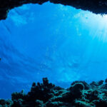 Blue Cave and Elaphiti Islands Private Speed Boat Tour - How the Day Unfolds