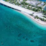 Blue Heron Bridge Guided Snorkel Tour - The Detailed Breakdown of the Experience