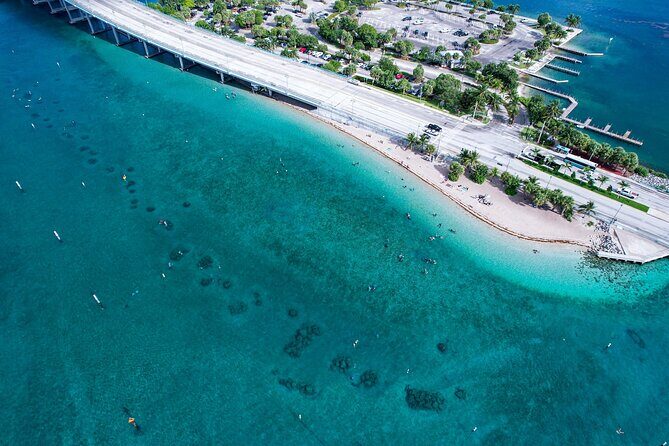 Blue Heron Bridge Guided Snorkel Tour - The Detailed Breakdown of the Experience