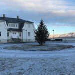 Blue Lagoon & Reykjavík Sightseeing - PRIVATE TOUR - What the Reviews Say