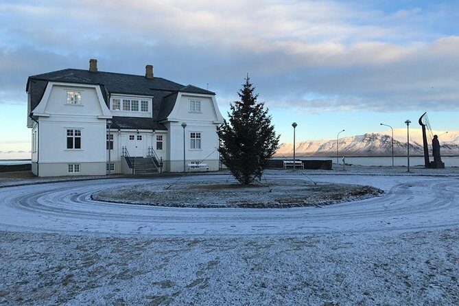 Blue Lagoon & Reykjavík Sightseeing - PRIVATE TOUR - What the Reviews Say