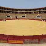 Blue Pass: Bullring and flamenco show with tapa and drink included - Flamenco in Alicante: Passion in Movement