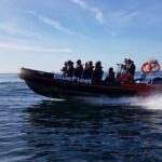 Boat Cruise to Algar de Benagil from Lagos - The Boat and Crew: Comfort, Capacity, and Service