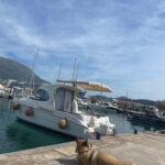 Boat Rental in Marina Bar Montenegro - Who Is This Tour Best Suited For?