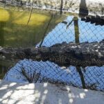 Boat Ride-Gentle Beach Beach Horseback Ride+Lunch-Crocs-Turtles - Practical Details and Considerations