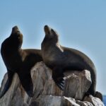 Boat ride to the Arch and Snorkel - Who Should Consider This Tour?