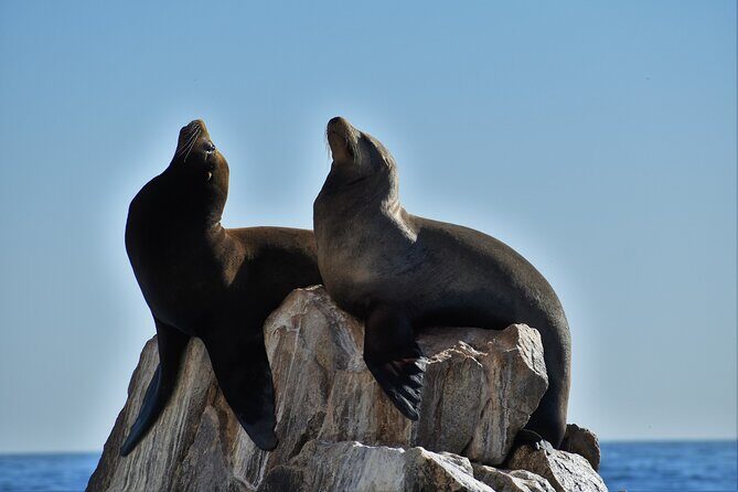Boat ride to the Arch and Snorkel - Who Should Consider This Tour?