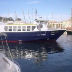 Boat to paradisiac island & electric bike tour from Sanary port - What Makes This Tour Stand Out?