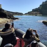 Boat Tour around Vila Franca do Campo Islet in Azores - The Experience on the Water