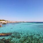 Boat tour Excursion from Trapani to Favignana and Levanzo 8 hours - A Deep Dive Into the Experience