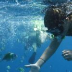 Boat tour from Avola to Portopalo with visit of Marzamemi - The Value of This Experience