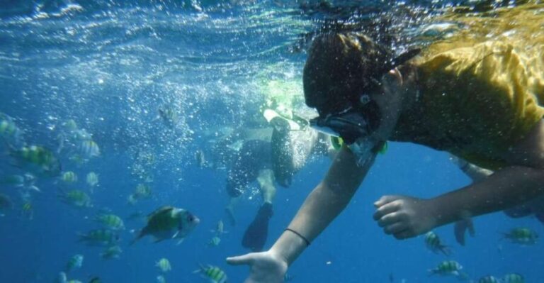 Boat tour from Avola to Portopalo with visit of Marzamemi - The Value of This Experience