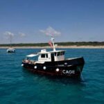 Boat tour Golfo Aranci: Tavolara and Molara Marine Protected Area - Setting Sail in Sardinia: What This Tour Offers