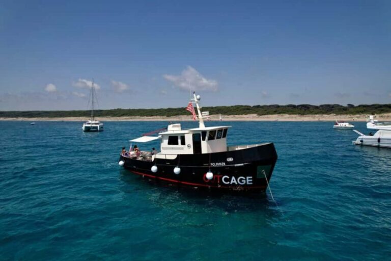Boat tour Golfo Aranci: Tavolara and Molara Marine Protected Area - Setting Sail in Sardinia: What This Tour Offers