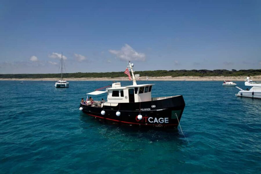 Boat tour Golfo Aranci: Tavolara and Molara Marine Protected Area - Setting Sail in Sardinia: What This Tour Offers