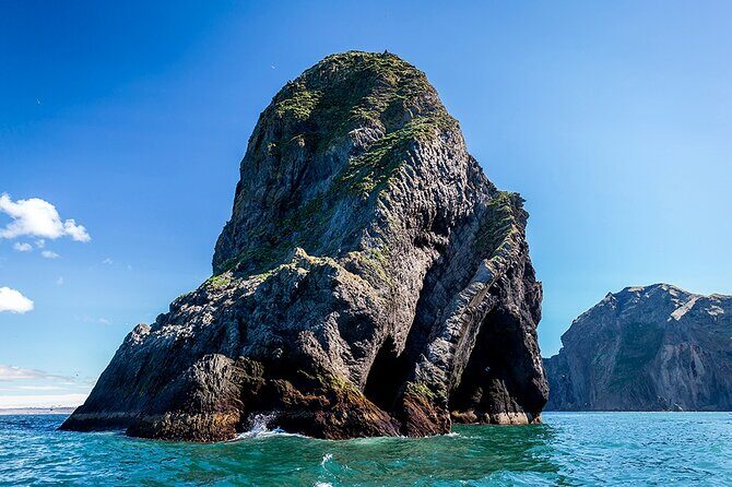 Boat Tour in Vestmannaeyjar - FAQs about the Vestmannaeyjar Boat Tour