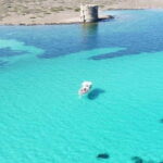 Boat tour of Asinara at sunset with aperitif on board - How Good Is the Value?