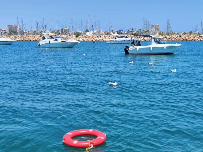 Boat trip and swimming in the sea - The Practicalities: Booking, Duration, and Costs