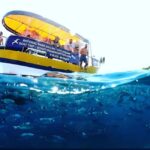 Boat Trip  Coastal Tour from Faana to Pula and snorkelling - What’s Included and What to Bring